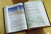 Biblical Theology Study Bible: New International Version, Burgundy, Bonded Leather, Comfort Print; Follow Gods Redemptive Plan As It Unfolds Throughout Scripture Bonded Leather