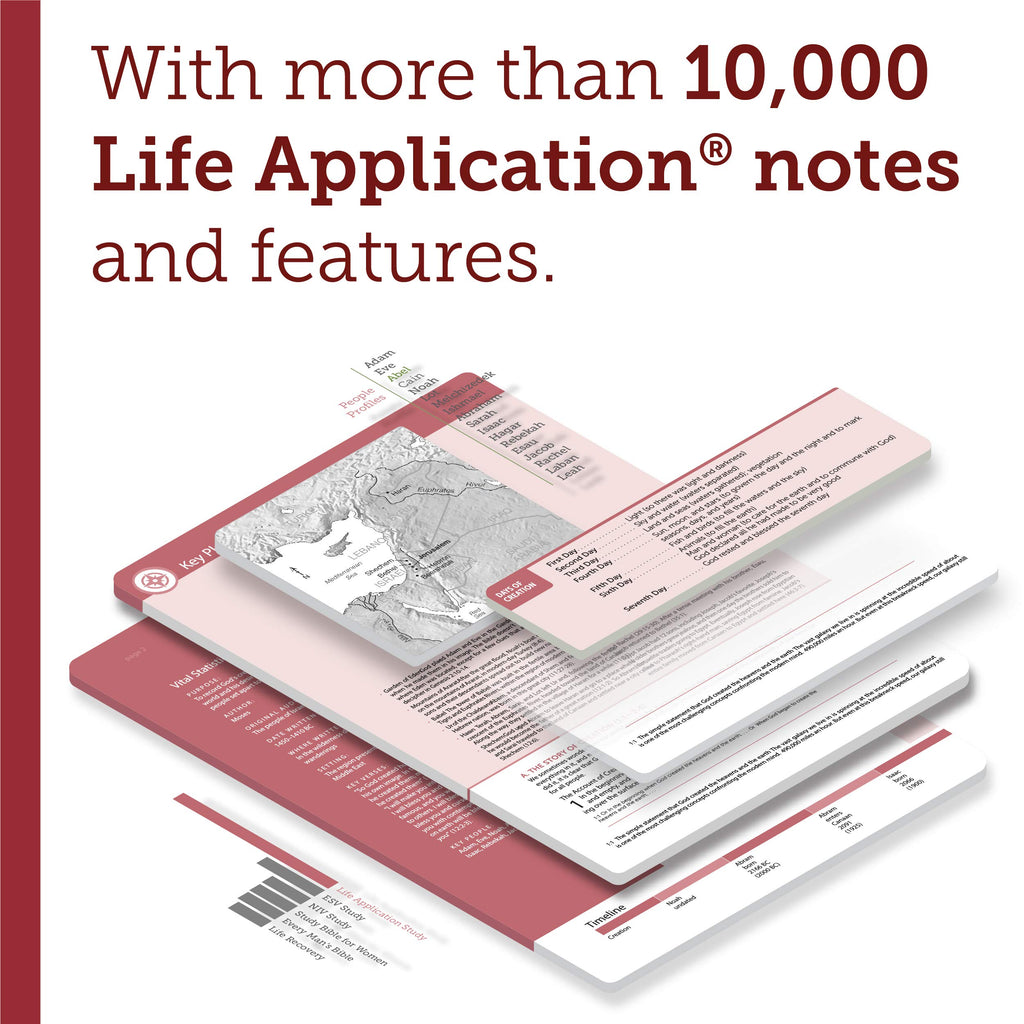 NIV Life Application Study Bible, Third Edition Imitation Leather – Import, 1 October 2019