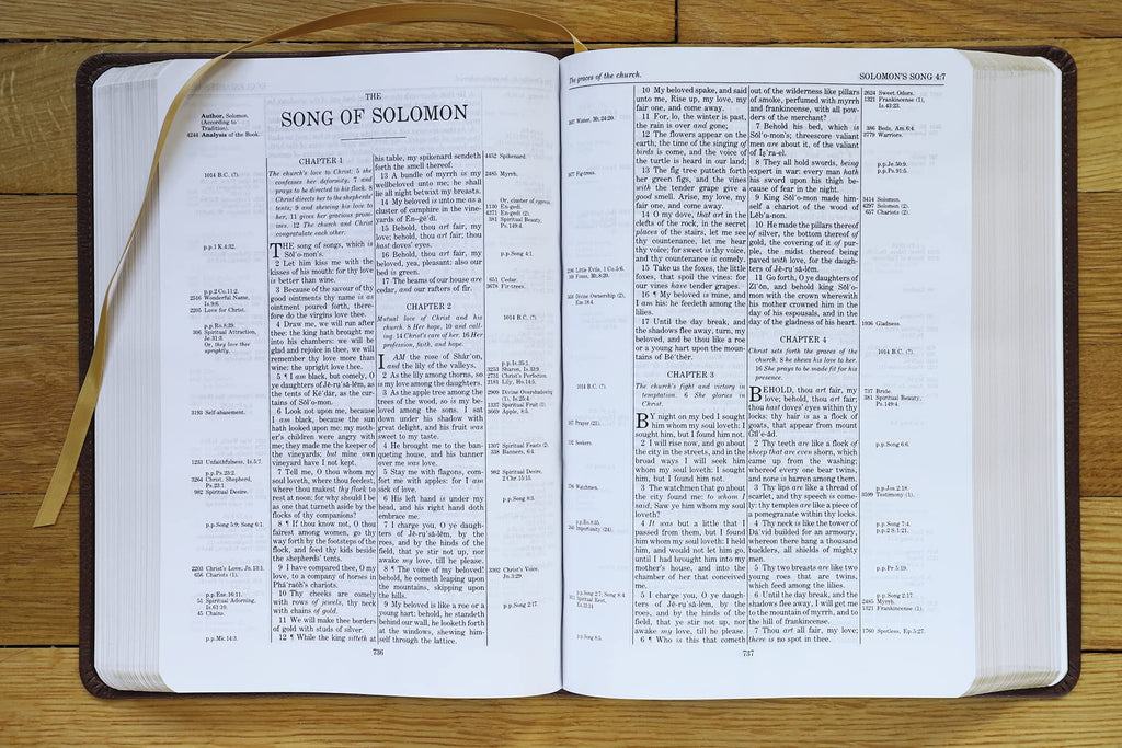 KJV, Thompson Chain-Reference Bible, Leathersoft, Brown, Red Letter: King James Version, Brown, Leathersoft, Red Letter Imitation Leather – Import, 8 June 2021