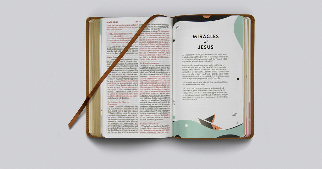ESV Kid's Bible, Compact: English Standard Version, Trutone, Sword of the Spirit Leather Bound – Import, 25 July 2019