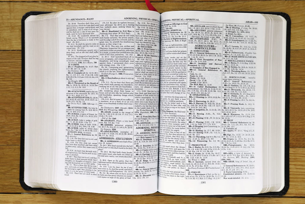 KJV, Thompson Chain-Reference Bible, Handy Size, Bonded Leather, Black, Red Letter: King James Version, Black, Bonded Leather, Handy Size, Red Letter Bonded Leather – Import, 8 June 2021