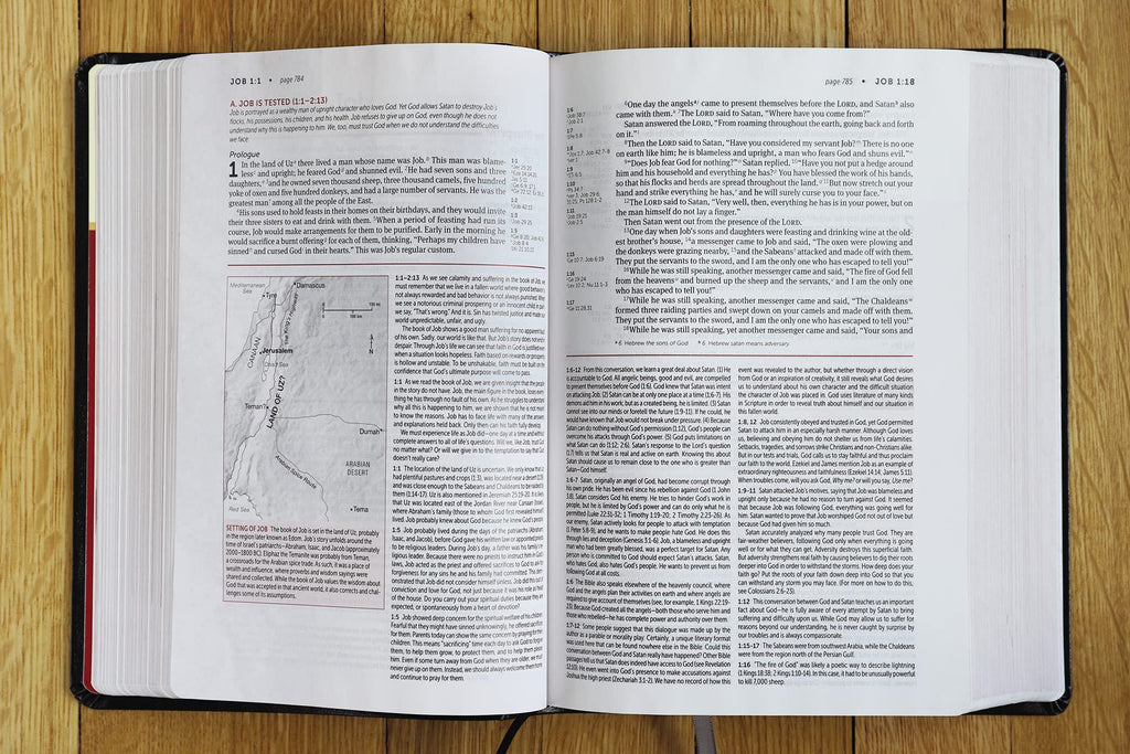 Life Application Study Bible: New International Version, Black Bonded Leather, Red Letter Bonded Leather – 1 October 2019