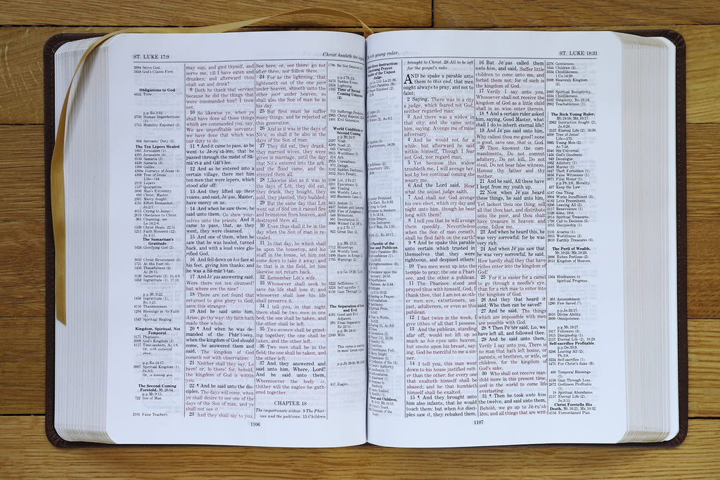 KJV, Thompson Chain-Reference Bible, Leathersoft, Brown, Red Letter: King James Version, Brown, Leathersoft, Red Letter Imitation Leather – Import, 8 June 2021