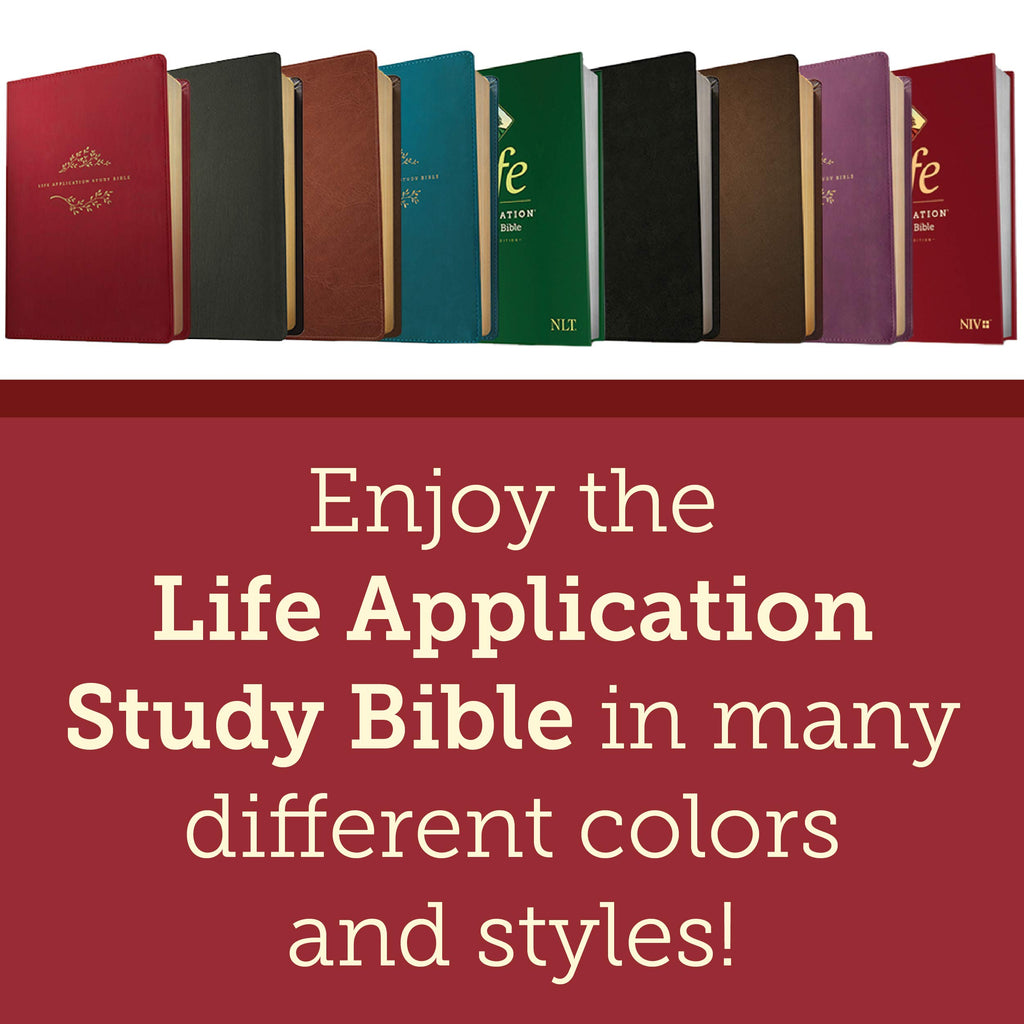 NIV Life Application Study Bible, Third Edition Imitation Leather – Import, 1 October 2019