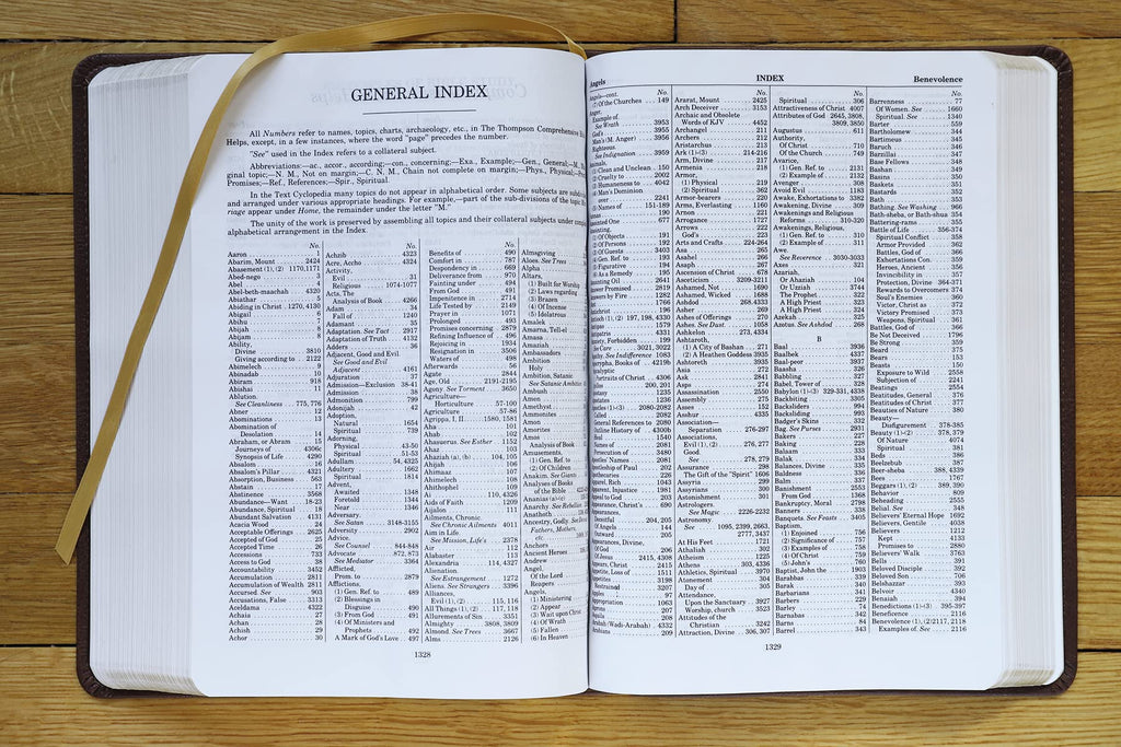 KJV, Thompson Chain-Reference Bible, Leathersoft, Brown, Red Letter: King James Version, Brown, Leathersoft, Red Letter Imitation Leather – Import, 8 June 2021