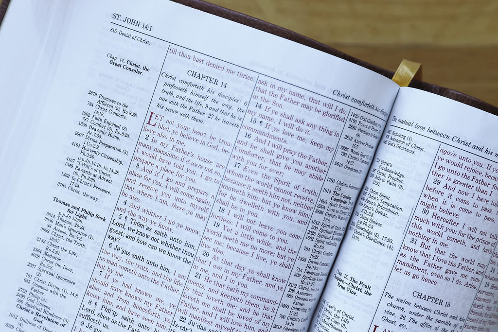 KJV, Thompson Chain-Reference Bible, Handy Size, Leathersoft, Brown, Red Letter: King James Version, Brown, Leathersoft, Red Letter, Handy Size Imitation Leather – Import, 8 June 2021