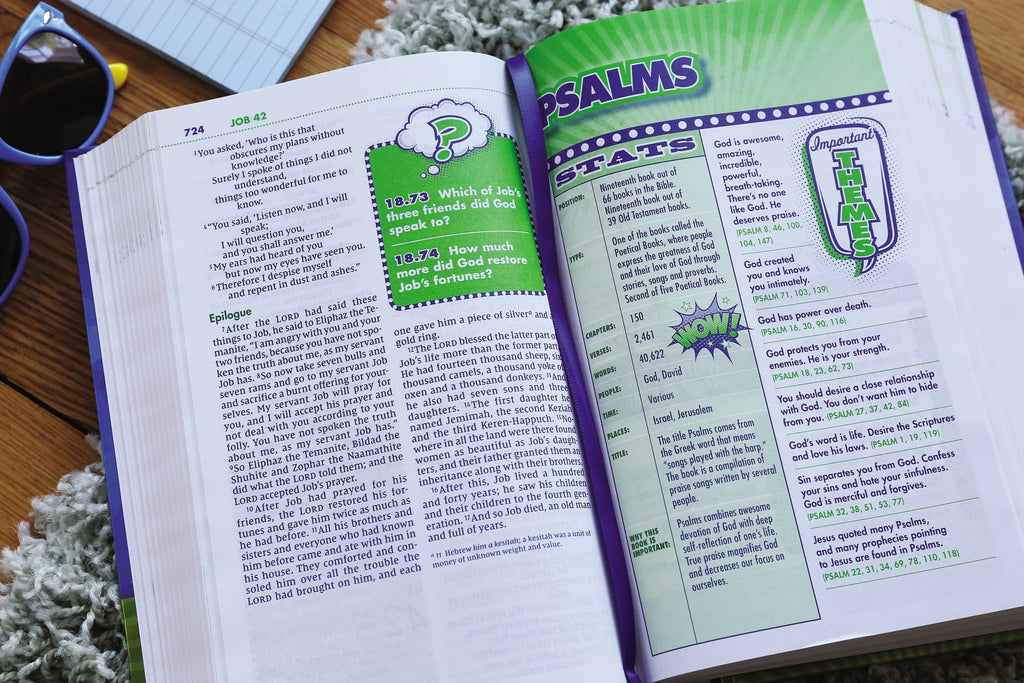Kids' Quiz Bible: New International Version, Over 1000 Fantastic Facts and Trivia Hardcover