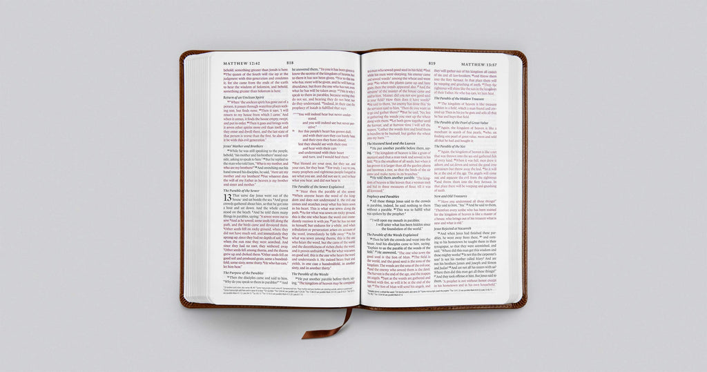 ESV Thinline Bible Imitation Leather – Import, 29 February 2016