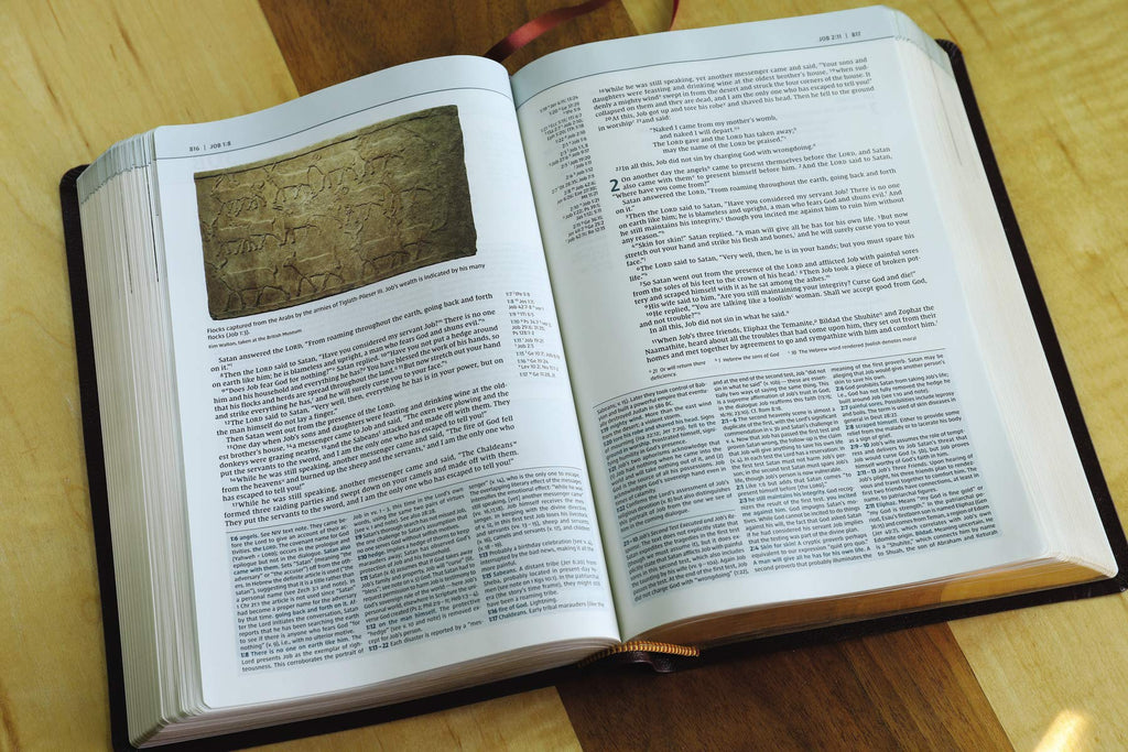 Biblical Theology Study Bible: New International Version, Burgundy, Bonded Leather, Comfort Print; Follow Gods Redemptive Plan As It Unfolds Throughout Scripture Bonded Leather