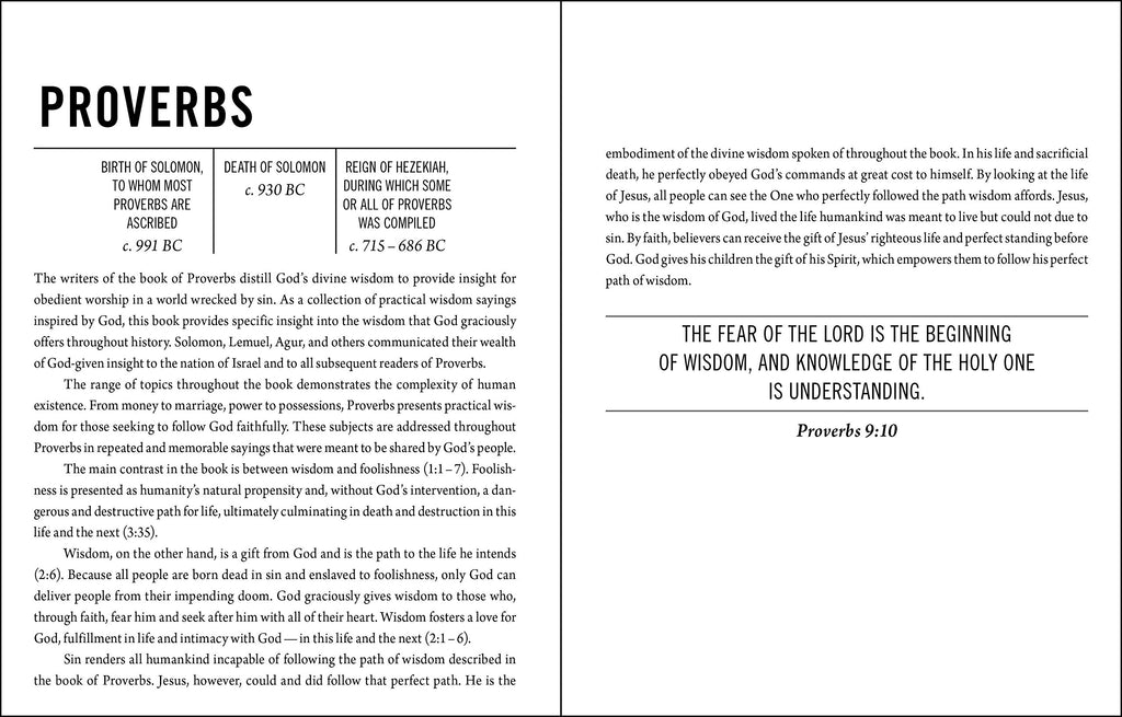 The Jesus Bible: New International Version, Brown, Leathersoft: Sixty-Six Books. One Story. All About One Name. Imitation Leather