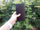 NIV POCKET THINLINE BL Bonded Leather – 24 August 2021