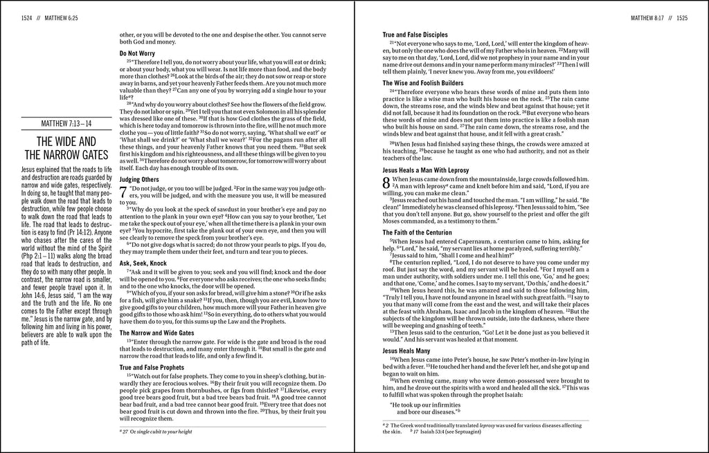 The Jesus Bible: New International Version, Brown, Leathersoft: Sixty-Six Books. One Story. All About One Name. Imitation Leather