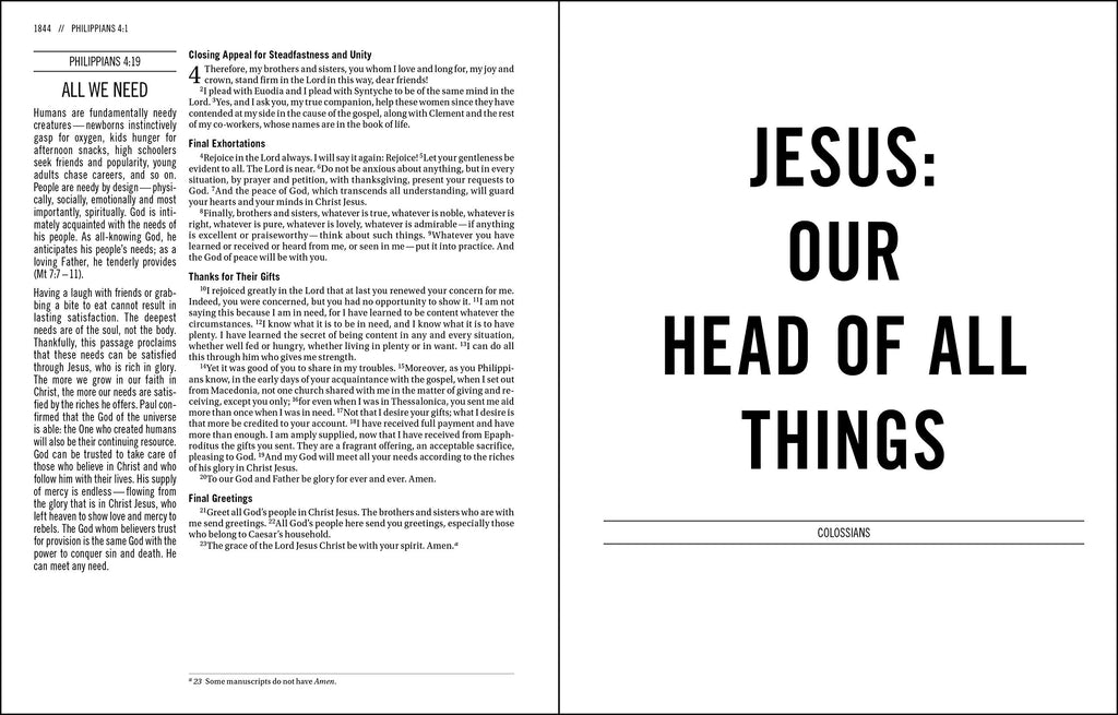 The Jesus Bible: New International Version, Brown, Leathersoft: Sixty-Six Books. One Story. All About One Name. Imitation Leather