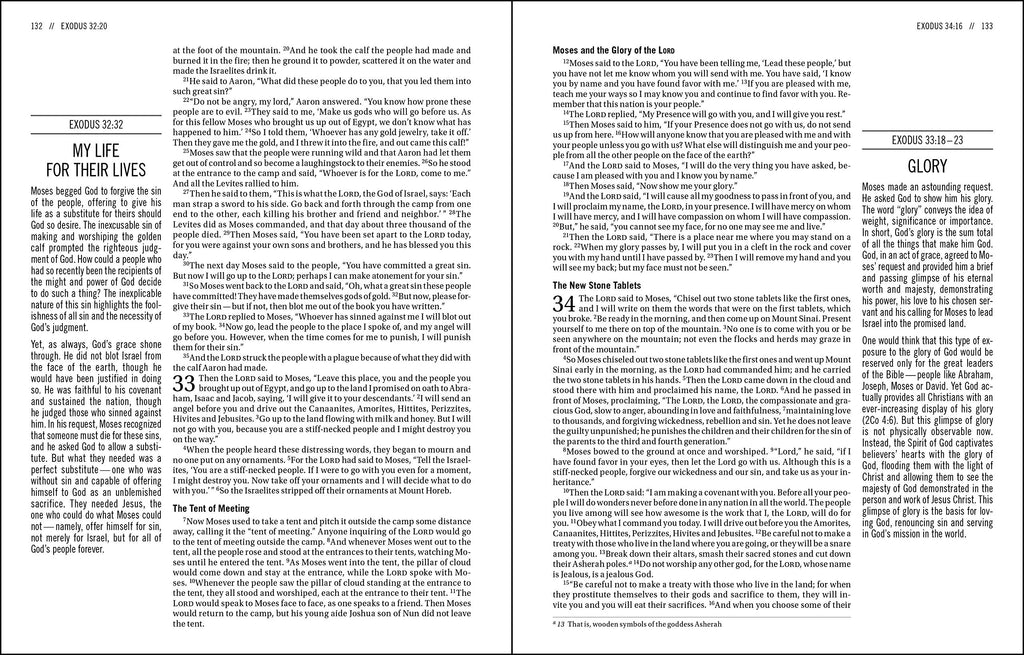 The Jesus Bible: New International Version, Brown, Leathersoft: Sixty-Six Books. One Story. All About One Name. Imitation Leather