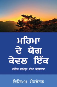 ALONE IN MAJESTY (PUNJABI) - ਮਹਿਮਾ ਵਿਚ ਇਕੱਲਾ (ਪੰਜਾਬੀ)