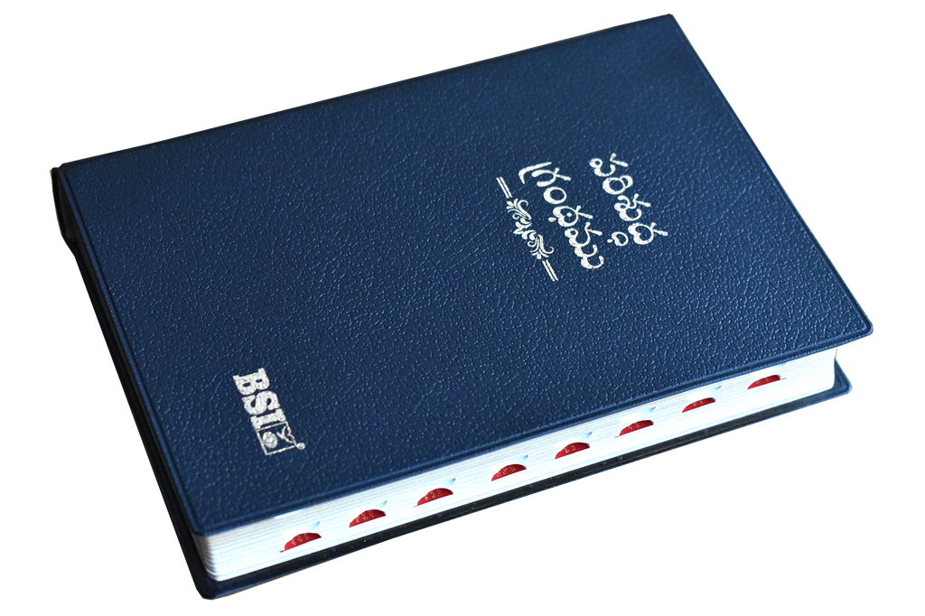 Telugu Senior Citizen bible Yapp