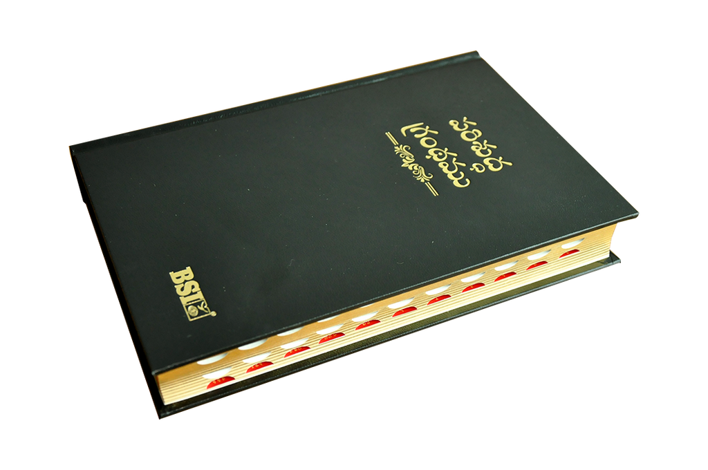 Telugu OV Gilt DY TI Black PU Yaap