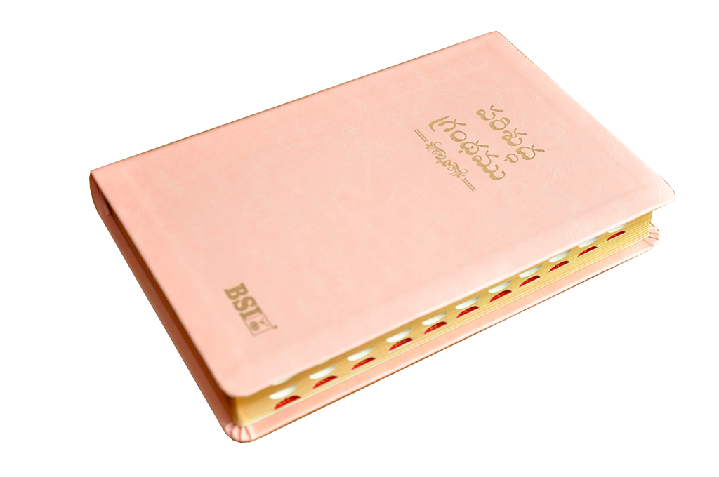 Telugu OV Gilt DY TI Pink PU Yaap
