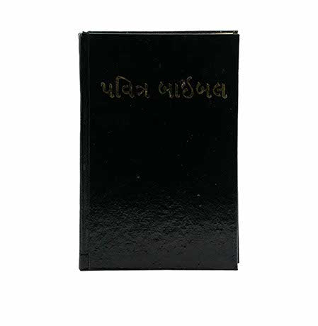 NIBV - HOLY BIBLE (GUJARATI)