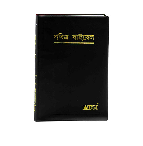 HOLY BIBLE (BENGALI)