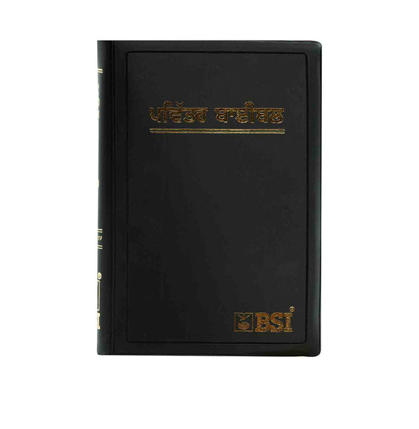 HOLY BIBLE (PUNJABI)