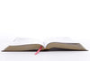 Kjv, Reference Bible, Personal Size Giant Print, Leather-Loo