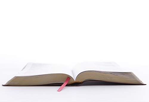 Kjv, Reference Bible, Personal Size Giant Print, Leather-Loo