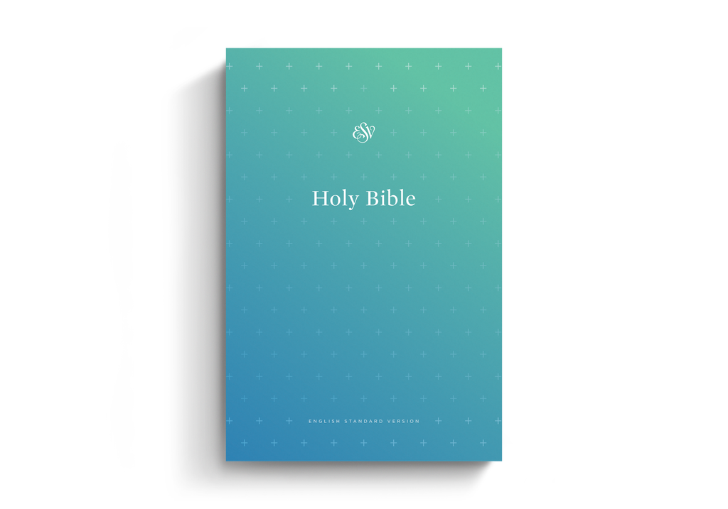 ESV Outreach Bible Paperback, Blue, Case of 28 - Bulk Sale