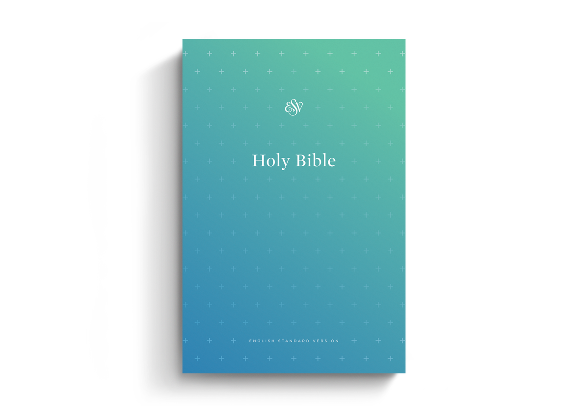ESV Outreach Bible Paperback, Blue, Case of 28 - Bulk Sale