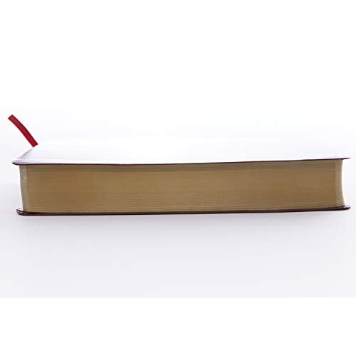 Kjv, Reference Bible, Personal Size Giant Print, Leather-Loo
