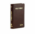 NIV HOLY BIBLE CAPSULE, CRANBERRY
