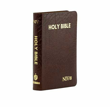 NIV HOLY BIBLE CAPSULE, CRANBERRY