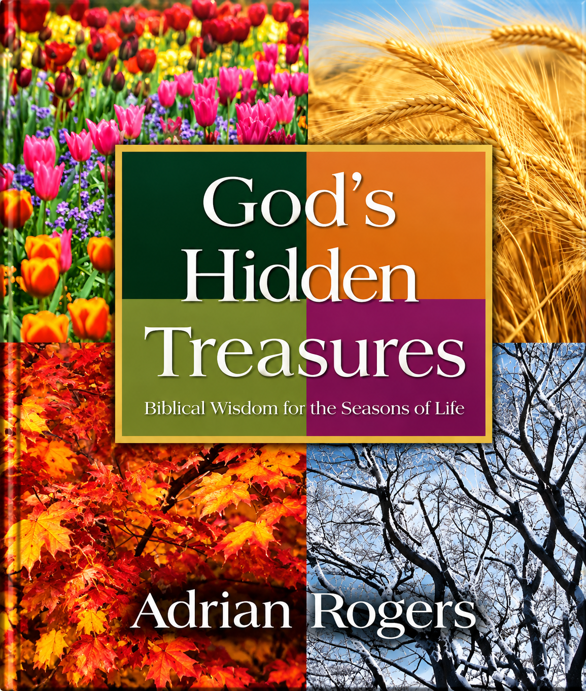 God's Hidden Treasures: Biblical Wisdom for the Seasons of Life