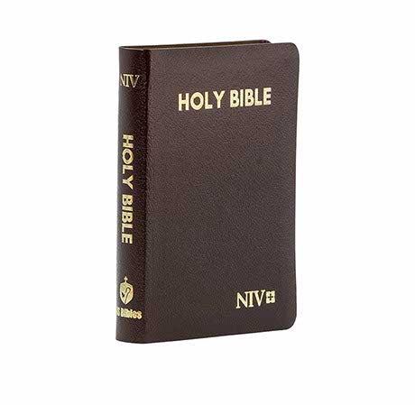 NIV HOLY BIBLE COMPACT GOLD EDGE BURGUNDY