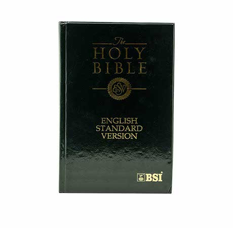 ESV - THE HOLY BIBLE SEMI COMPACT