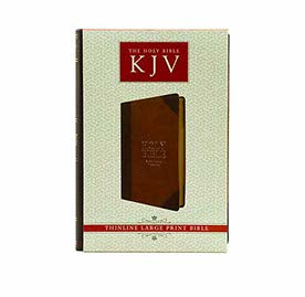 KJV HOLY BIBLE THINLINE LARGE PRINT