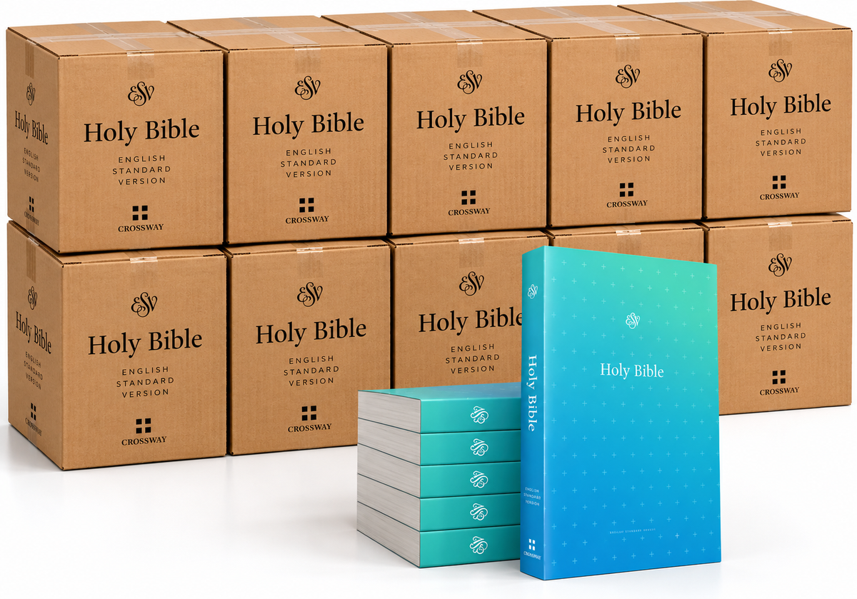 ESV Outreach Bible Paperback, Blue, Case of 28 - Bulk Sale