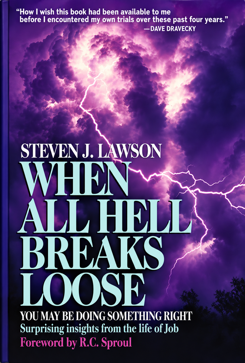When All Hell Breaks Loose: You May Be Doing Something Right: Surprising Insights from the Life of Job (Pre-owned, Unused)