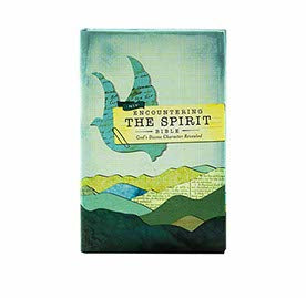 NIV ENCOUNTERING THE SPIRIT BIBLE, HARDCOVER (ENCOUNTER BIBLE SERIES): DISCOVER THE POWER OF THE HOLY SPIRIT