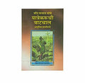 The Pilgrim's Progress (Marathi)