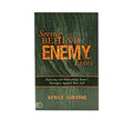 Seeing Behind Enemy Lines: Exposing and Overcoming Satan's Strategies Against Your Life