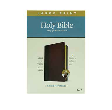 KJV LARGE PRINT THINLINE REFERENCE BIBLE: FILAMENT ENABLED