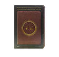 THE DAILY BIBLE