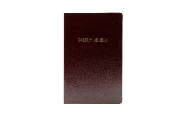 NIV Holy Bible (Anglicised edition)