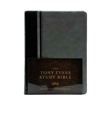 CSB TONY EVANS STUDY BIBLE: STUDY NOTES AND COMMENTARY, ARTICLES