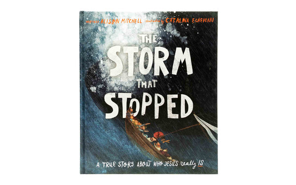 The Storm that Stopped: A true story about who Jesus really is