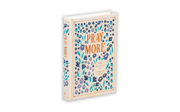 PRAY MORE: DAILY DEVOTIONS FOR COURAGEOUS LIVING