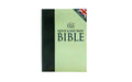 Quick & Easy Read Bible