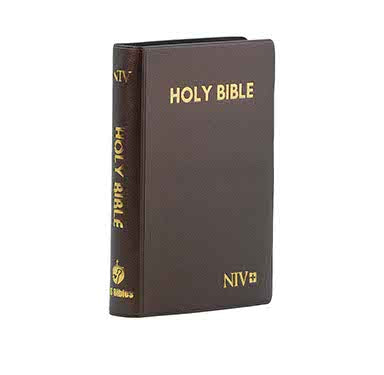 NIV COMPACT PEARL VINYL INDEXED BROWN