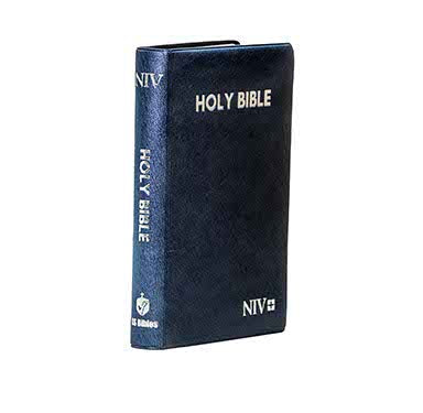 NIV MEDIUM PEARL VINYL BLUE